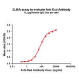 ELISA - Anti-Dxd Antibody [1E6] - BSA and Azide free (A324864) - Antibodies.com