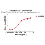 ELISA - Anti-GFAP Antibody [1E11] - BSA and Azide free (A324868) - Antibodies.com