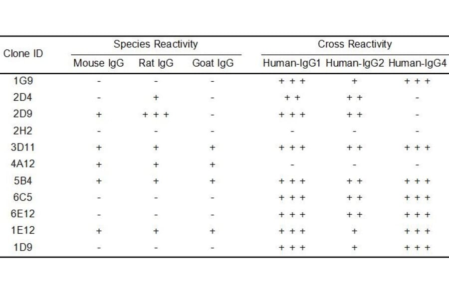 ELISA - Anti-Human IgG Antibody [1D9] - BSA and Azide free (A324871) - Antibodies.com