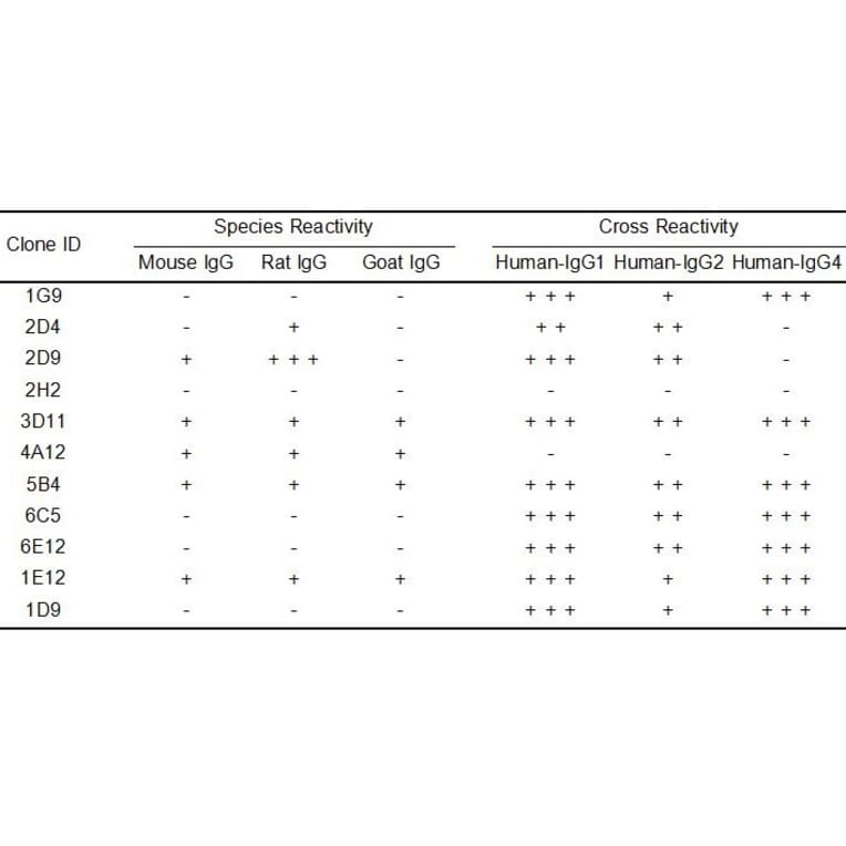 ELISA - Anti-Human IgG Antibody [1D9] - BSA and Azide free (A324871) - Antibodies.com
