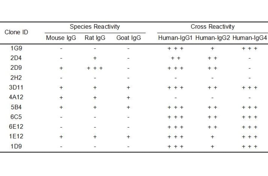 ELISA - Anti-Human IgG Antibody [1E12] - BSA and Azide free (A324872) - Antibodies.com