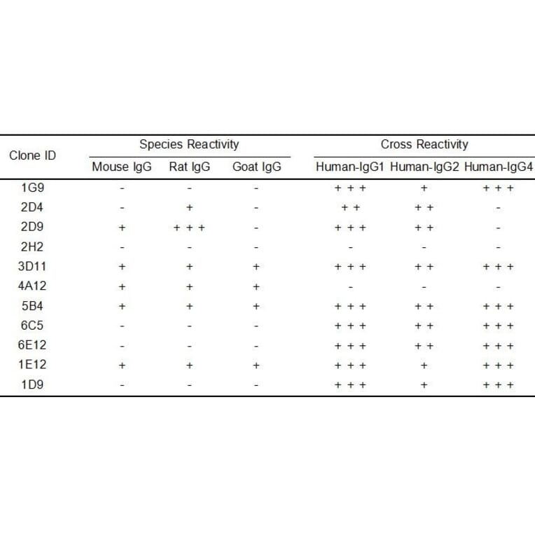 ELISA - Anti-Human IgG Antibody [1E12] - BSA and Azide free (A324872) - Antibodies.com