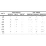 ELISA - Anti-Human IgG Antibody [1E12] - BSA and Azide free (A324872) - Antibodies.com