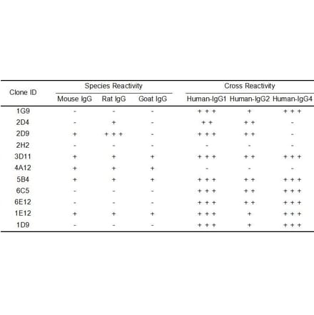 ELISA - Anti-Human IgG Antibody [1G9] - BSA and Azide free (A324873) - Antibodies.com