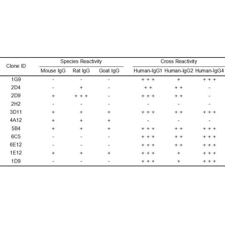 ELISA - Anti-Human IgG Antibody [1G9] - BSA and Azide free (A324873) - Antibodies.com