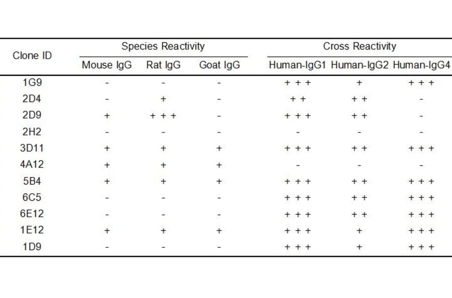 ELISA - Anti-Human IgG Antibody [2H2] - BSA and Azide free (A324876) - Antibodies.com