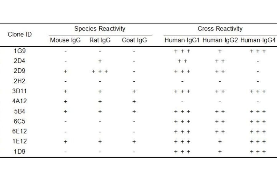 ELISA - Anti-Human IgG Antibody [3D11] - BSA and Azide free (A324877) - Antibodies.com