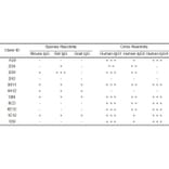 ELISA - Anti-Human IgG Antibody [3D11] - BSA and Azide free (A324877) - Antibodies.com