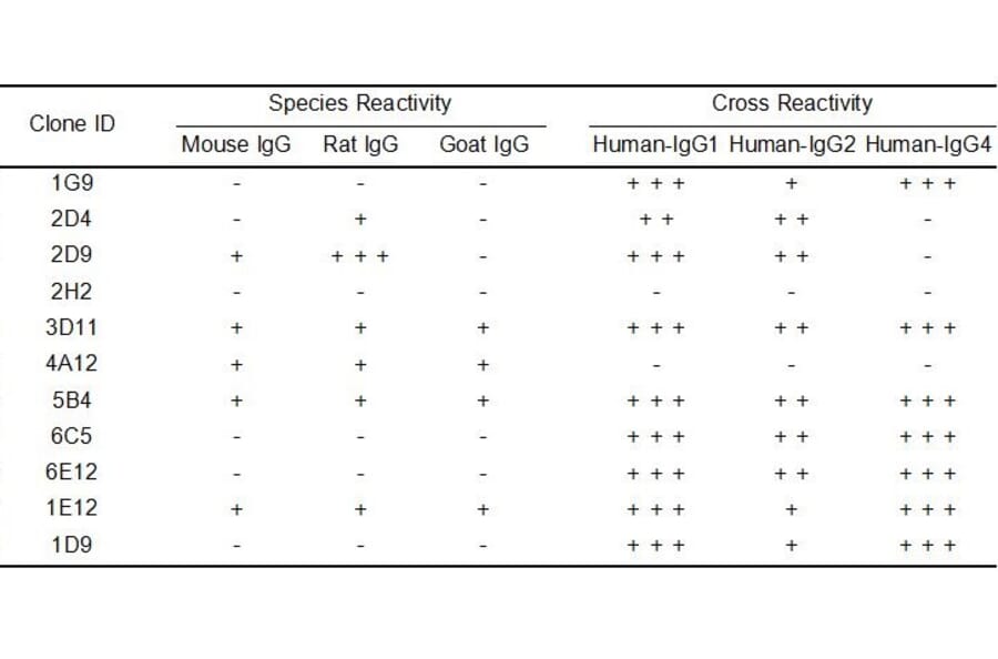 ELISA - Anti-Human IgG Antibody [4A12] - BSA and Azide free (A324878) - Antibodies.com