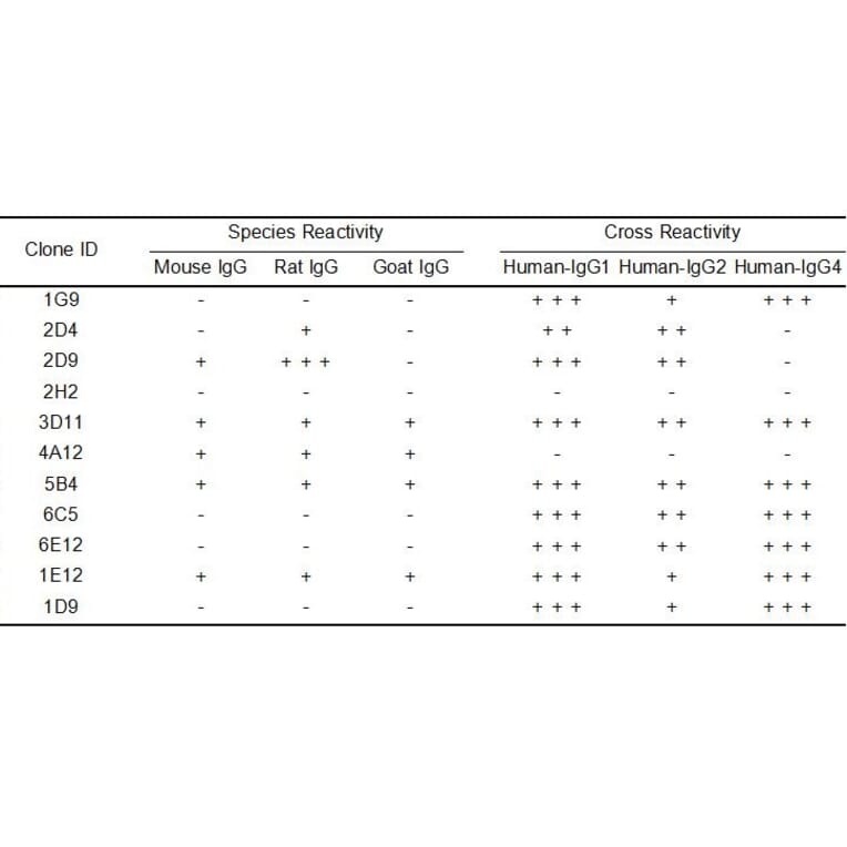 ELISA - Anti-Human IgG Antibody [4A12] - BSA and Azide free (A324878) - Antibodies.com