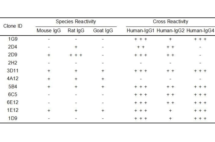 ELISA - Anti-Human IgG Antibody [6C5] - BSA and Azide free (A324880) - Antibodies.com