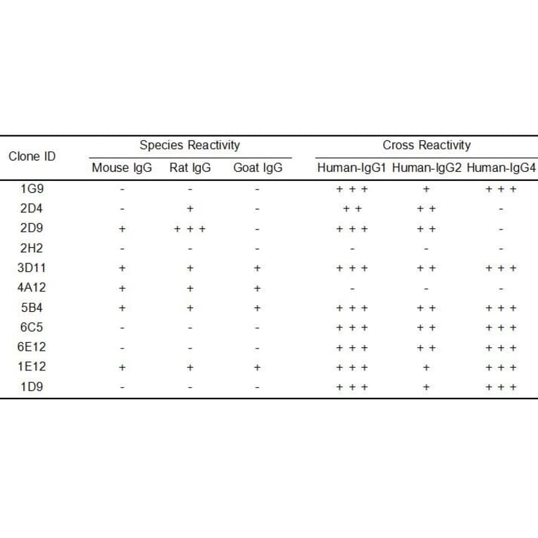 ELISA - Anti-Human IgG Antibody [6C5] - BSA and Azide free (A324880) - Antibodies.com