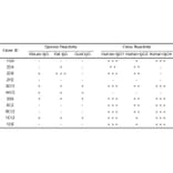 ELISA - Anti-Human IgG Antibody [6C5] - BSA and Azide free (A324880) - Antibodies.com