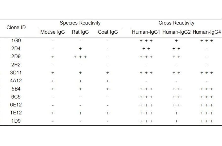 ELISA - Anti-Human IgG Antibody [6E12] - BSA and Azide free (A324881) - Antibodies.com