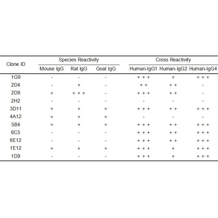 ELISA - Anti-Human IgG Antibody [6E12] - BSA and Azide free (A324881) - Antibodies.com