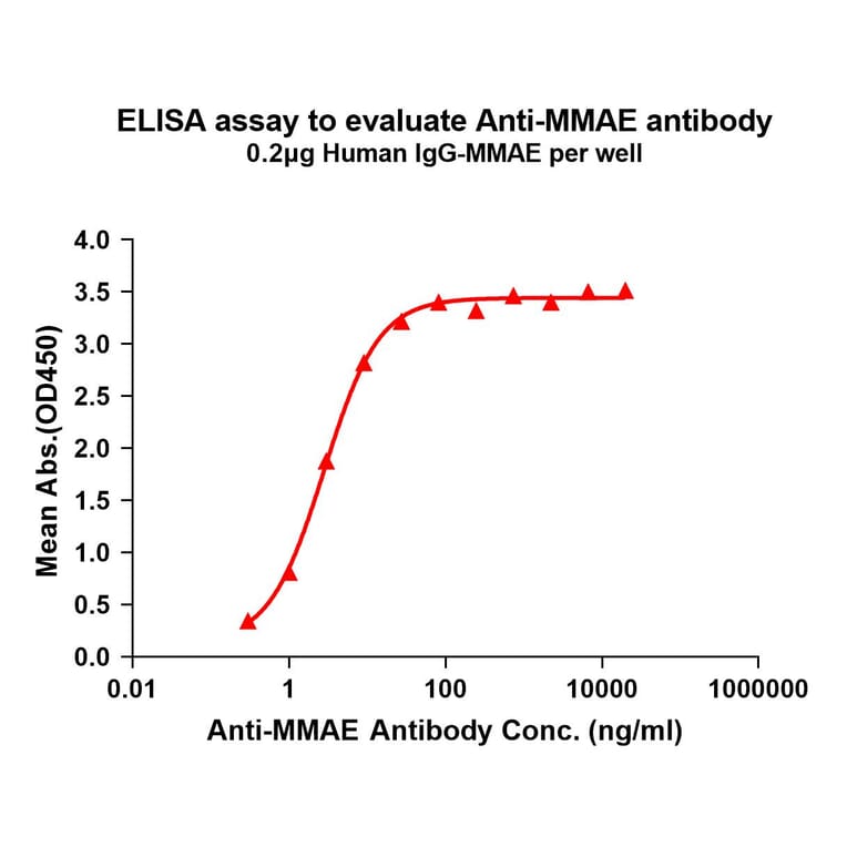 ELISA - Anti-MMAE Antibody [11C8] - BSA and Azide free (A324883) - Antibodies.com