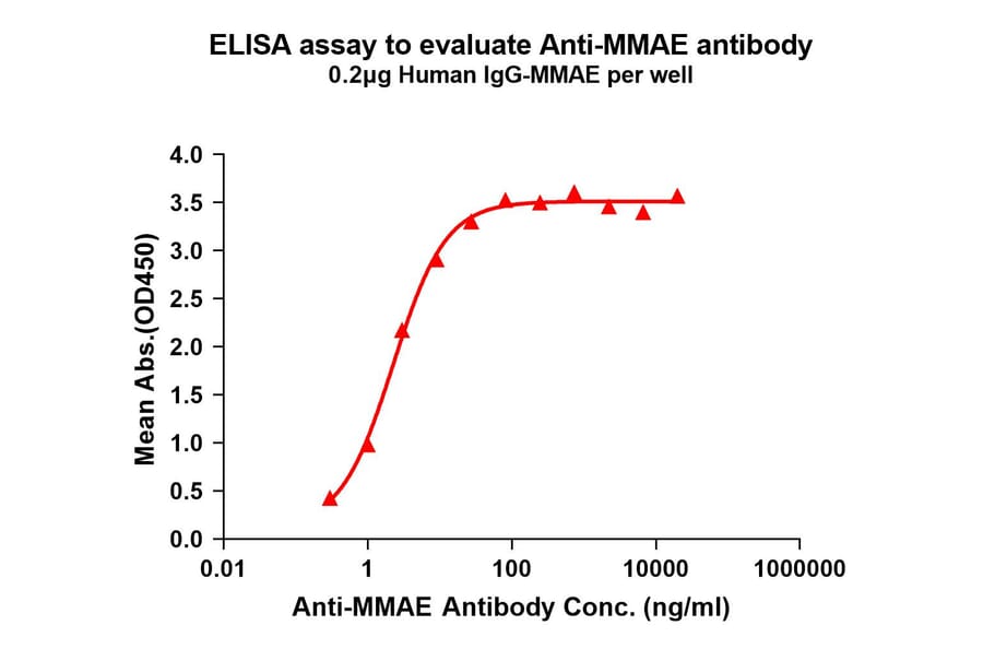 ELISA - Anti-MMAE Antibody [8B4] - BSA and Azide free (A324884) - Antibodies.com