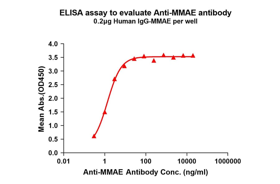 ELISA - Anti-MMAE Antibody [8C4] - BSA and Azide free (A324885) - Antibodies.com
