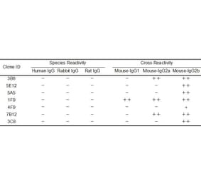 ELISA - Anti-Mouse IgG Antibody [1F9] - BSA and Azide free (A324887) - Antibodies.com