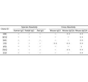 ELISA - Anti-Mouse IgG Antibody [3B8] - BSA and Azide free (A324888) - Antibodies.com