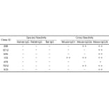 ELISA - Anti-Mouse IgG Antibody [3B8] - BSA and Azide free (A324888) - Antibodies.com