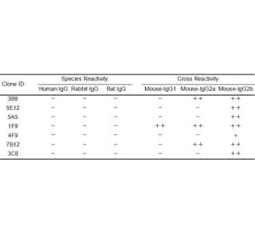 ELISA - Anti-Mouse IgG Antibody [3C8] - BSA and Azide free (A324889) - Antibodies.com