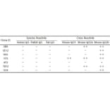 ELISA - Anti-Mouse IgG Antibody [3C8] - BSA and Azide free (A324889) - Antibodies.com