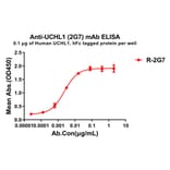 ELISA - Anti-PGP9.5 Antibody [2G7] - BSA and Azide free (A324896) - Antibodies.com