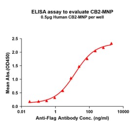 ELISA - Synthetic Virus-like Particle Human Cannabinoid Receptor II Protein (A325310) - Antibodies.com