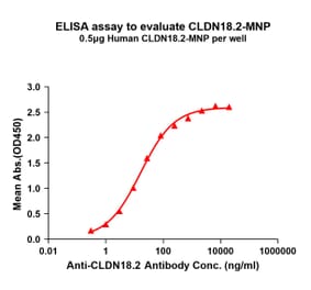 ELISA - Synthetic Virus-like Particle Human Claudin18.2 Protein (A325312) - Antibodies.com
