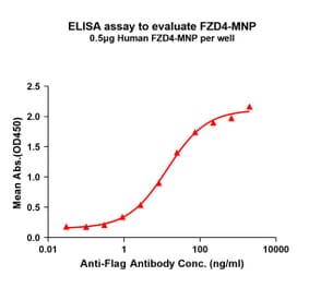 ELISA - Synthetic Virus-like Particle Human Frizzled 4 Protein (A325313) - Antibodies.com