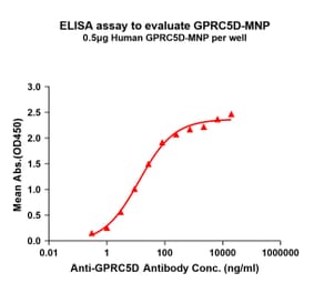 ELISA - Synthetic Virus-like Particle Human GPCR GPRC5D Protein (A325314) - Antibodies.com