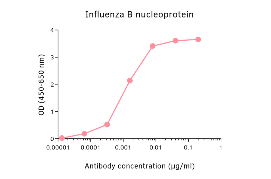 ELISA - Anti-Influenza B Virus Nucleoprotein Antibody [4D5] (A325383) - Antibodies.com