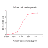 ELISA - Anti-Influenza B Virus Nucleoprotein Antibody [4D5] (A325383) - Antibodies.com