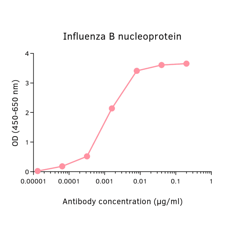 ELISA - Anti-Influenza B Virus Nucleoprotein Antibody [4D5] (Biotin) (A325384) - Antibodies.com