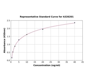 Standard Curve - Rat beta III Tubulin ELISA Kit (A326201) - Antibodies.com