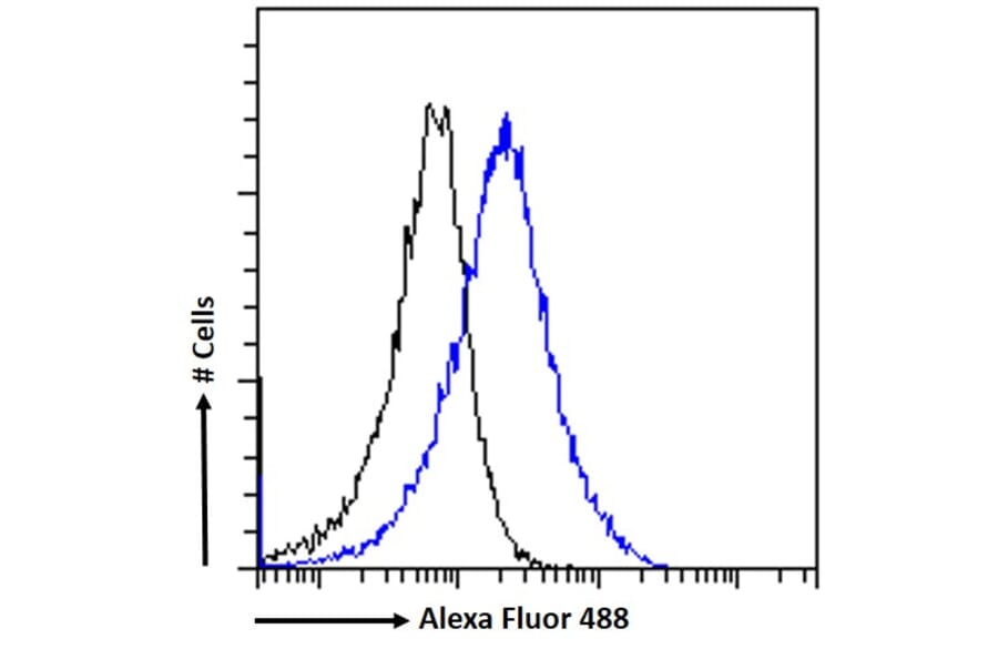 Flow Cytometry - Anti-ABCE1 Antibody (A326209) - Antibodies.com