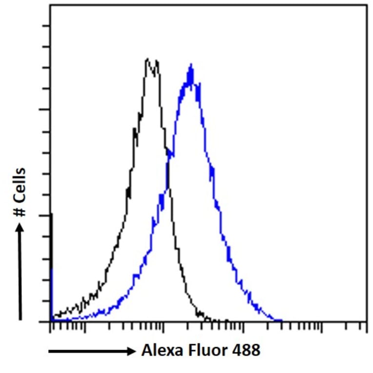 Flow Cytometry - Anti-ABCE1 Antibody (A326209) - Antibodies.com