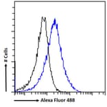 Flow Cytometry - Anti-ABCE1 Antibody (A326209) - Antibodies.com