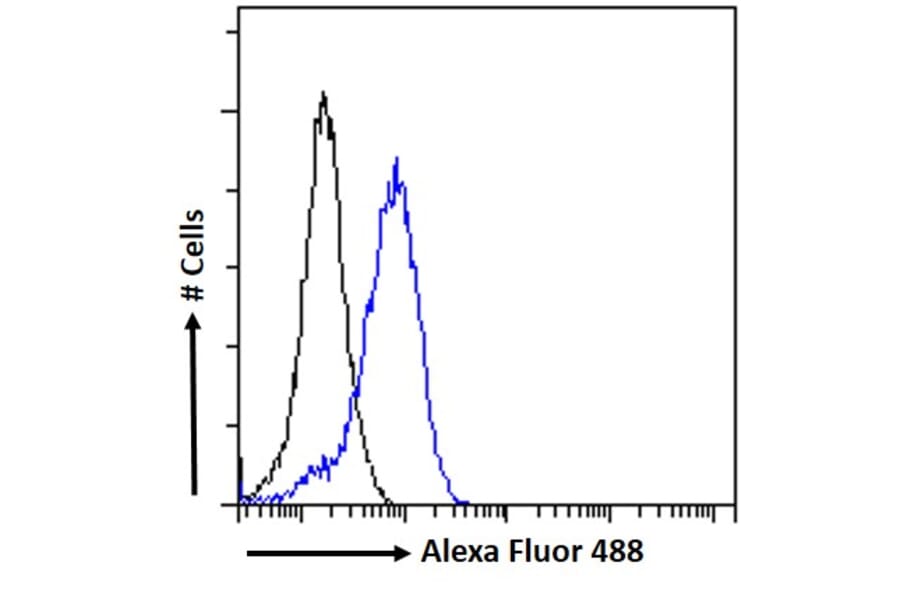 Flow Cytometry - Anti-APOLD1 Antibody (A326217) - Antibodies.com