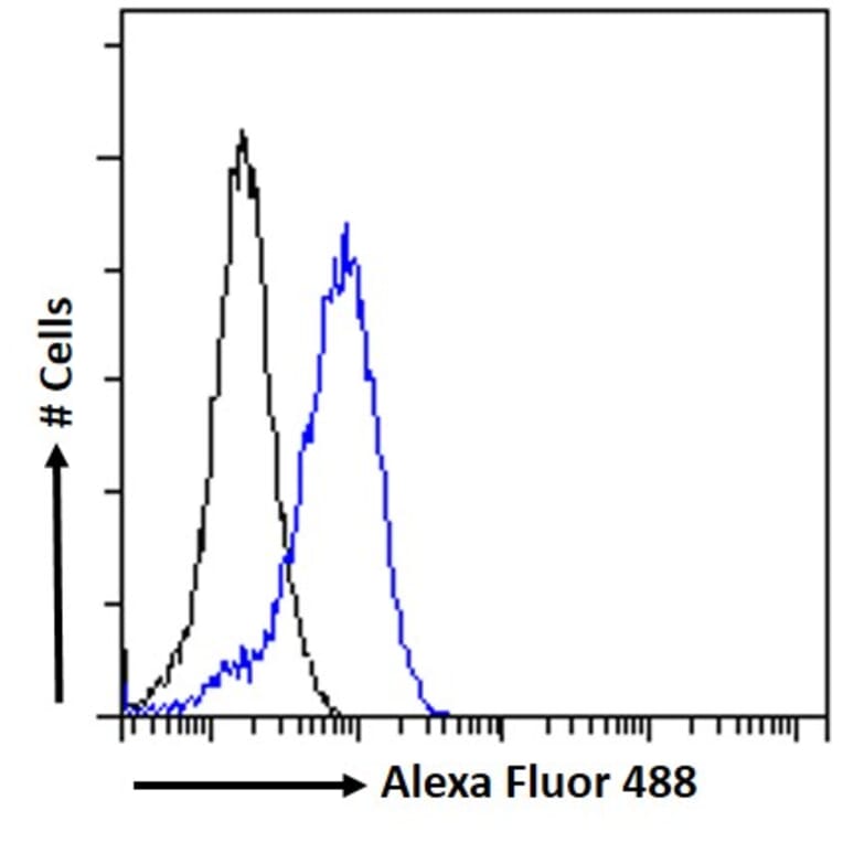 Flow Cytometry - Anti-APOLD1 Antibody (A326217) - Antibodies.com