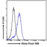Flow Cytometry - Anti-APOLD1 Antibody (A326217) - Antibodies.com