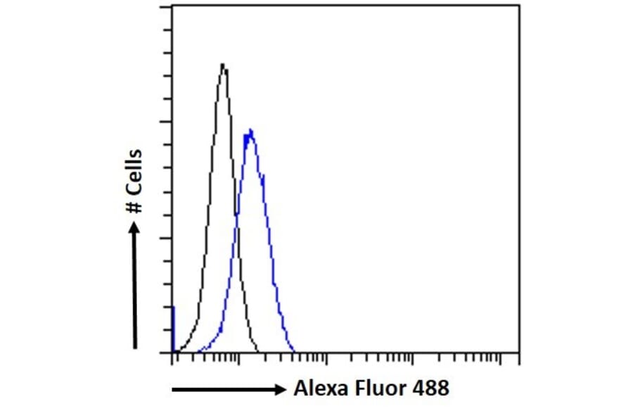 Flow Cytometry - Anti-Atad5 Antibody (A326220) - Antibodies.com