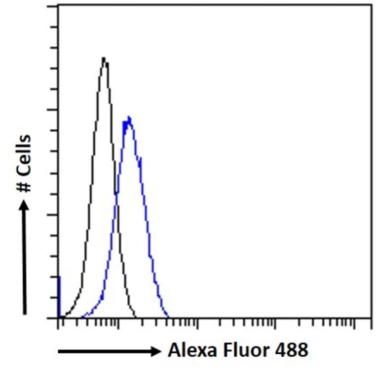 Flow Cytometry - Anti-Atad5 Antibody (A326220) - Antibodies.com