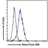 Flow Cytometry - Anti-BRSK2 Antibody (A326225) - Antibodies.com