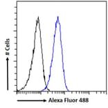 Flow Cytometry - Anti-CTDSPL Antibody (A326237) - Antibodies.com