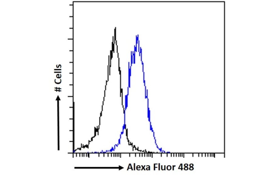 Flow Cytometry - Anti-ER81/ETV1 Antibody (A326241) - Antibodies.com