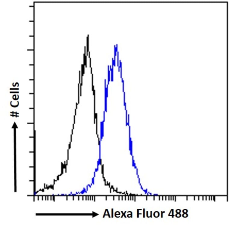 Flow Cytometry - Anti-ER81/ETV1 Antibody (A326241) - Antibodies.com