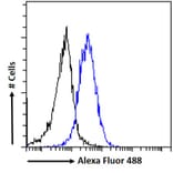 Flow Cytometry - Anti-ER81/ETV1 Antibody (A326241) - Antibodies.com