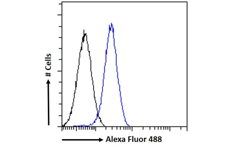 Flow Cytometry - Anti-GADD45G/CR6 Antibody (A326248) - Antibodies.com